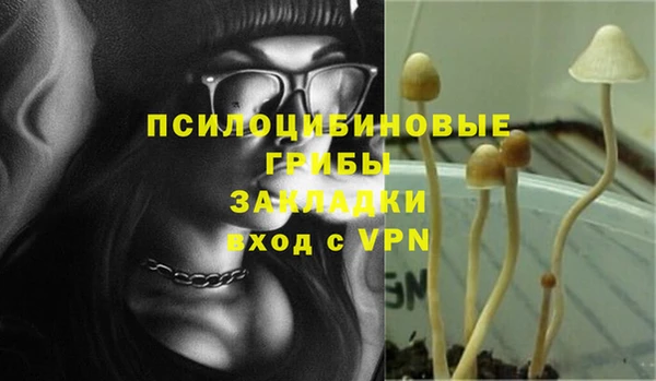 спиды Абинск